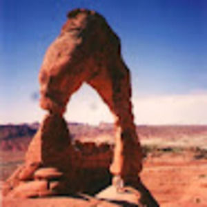 Meet your Posher, Shelly